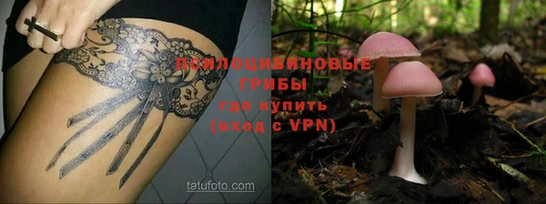 spice Белокуриха