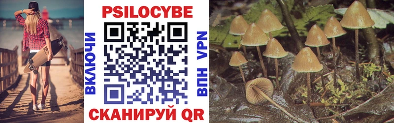 Псилоцибиновые грибы Psilocybine cubensis Новоалтайск